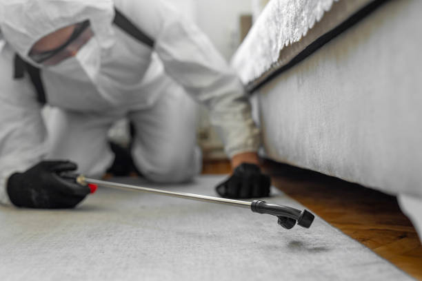 Professional Termite Control technician working in Dawson County County, TX